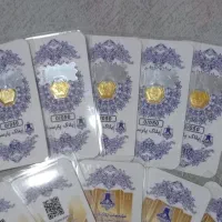 سکه پارسیان