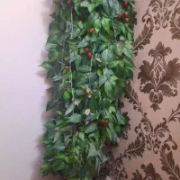 درختچه البالو|گل مصنوعی|تهران, تهرانپارس شرقی|دیوار