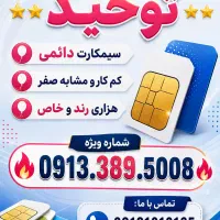 0913.389.5008