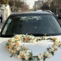دسته گل عروس و ماشین عروس قیمت مناسب باکس و جام گل|گل و گیاه طبیعی|شیراز, سایت اداری|دیوار