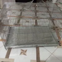 دو عدد قفص سالم نو دانه ای یک ملیون|لوازم جانبی حیوانات|جونقان, |دیوار