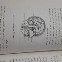 کتاب حکمت . راهنمای سلامت انسان|کتاب و مجله آموزشی|مشهد, رسالت|دیوار