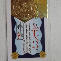 سکه پارسیان