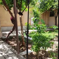 سه پایه موبایل دوربین گوشی نونو|دوربین عکاسی و فیلم‌برداری|تهران, خانی آباد نو شمالی|دیوار