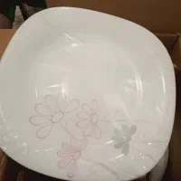 سرویس ارکوپال مارک پارس اوپال  اکبند