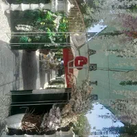 نیرو برای کار در سفره خانه