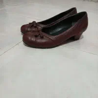 کفش سایز ۳۶|کیف، کفش، کمربند|گنبد کاووس, |دیوار