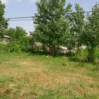 فروش زمین250متری در ماسال شاندرمن زیبا نزدیک شهر|فروش زمین و ملک کلنگی|ماسال, |دیوار