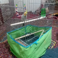 قفس بزرگ پرنده فقدمعاوضه