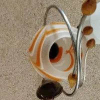 دو عدد لوستر حبابی