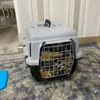 باکس سگ وگربه