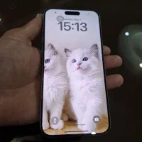 ایفن15پرومکس ZAA
