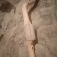 خریدکاتالیزورخاک دیزل ماشین سنگین،|خدمات پیشه و مهارت|یاسوج, |دیوار