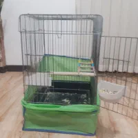 قفس عروس هلندی