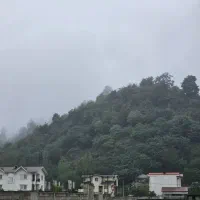 فروش زمین/ ویودار/ ۲۸۰متری/با بهترین شرایط پرداخت|فروش زمین و ملک کلنگی|تالش, هشتپر|دیوار