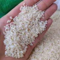 برنج کامفیروزی و حبوبات با کیفیت قیمت منصفانه