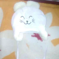 یک عدد کلاه نو|لباس|همدان, |دیوار