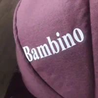 کریر نو وسالم خوش رنگ