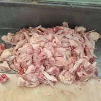 غذای سگ|لوازم جانبی حیوانات|مشهد, آیت الله کاشانی|دیوار