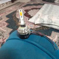 هدلایت نو|لامپ و چراغ|تربت جام, باغ سنگان سفلی|دیوار