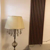 اباژور ایستاده