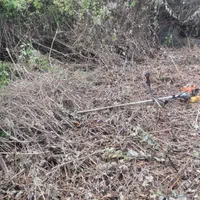 علفتراشی سمپاشی باغچه و نگهداری ویلاها|خدمات باغبانی و درختکاری|سلمان‌شهر, |دیوار