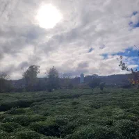 فروش-زمین-1000متری-مناسب-ویلا-سازی