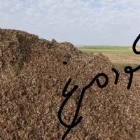 کودمرغ سمات و آجر
