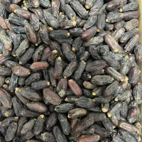 خرمای ربی درجه یک