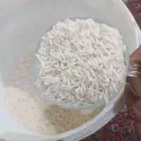 برنج صدری محلی