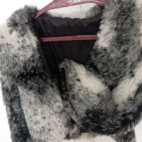 کدروی مانتویی