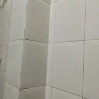 نیرو خانم جهت نظافت منزل نیازمندیم