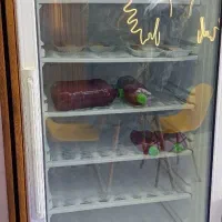 فریزر ایستاده Tifo در حد نو آماده کار حرفه‌ای|فروشگاه و مغازه|تربت‌حیدریه, پارک کاشانی|دیوار