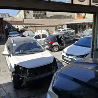 به یک کارگر وارد نقاشی درصدی نیازمندیم