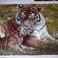 تابلو فرش ماشینی