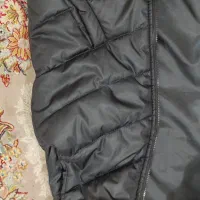 پافر مردانه|لباس|تاکستان, |دیوار