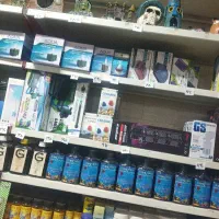 انواع ماهی لوازم آکواریم حتما بخون