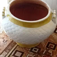 گلدون بزرگ|گل و گیاه طبیعی|ابهر, |دیوار