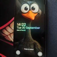 A53 5G 256gig