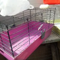 قفس خرگوش وخوکچه