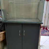 آکواریوم|ماهی|ری, شهرری|دیوار