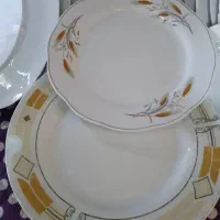 تعدادی بشقاب نو،استفاده نشده|ظروف سرو و پذیرایی|شیراز, شاپورجان|دیوار