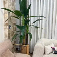 گل مصنوعی ۲۴ برگ