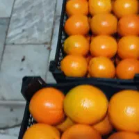 پرتقال مارک دار تامسون اعلا