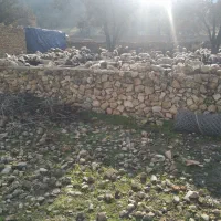 اجاره-مرتع-چرای-دام