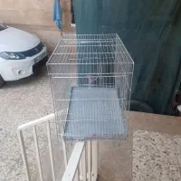 قفس ۵۲ حرفه ای|لوازم جانبی حیوانات|شاهینشهر, شهرک ردانی پور|دیوار