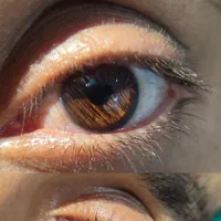 با اکستنشن مژه و لیفت ابرو زیباییت رو چند برابر کن|خدمات آرایشگری و زیبایی|بوشهر, |دیوار