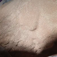 گندم آبی|گل و گیاه طبیعی|آبکوه, |دیوار