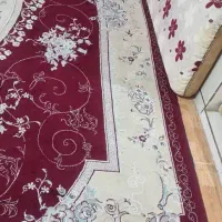 ۲عدد فرش ۱۲متری ۲عدد ۹متری ۲جفت پشتی همرنگ قالیها|فرش|ازنا, |دیوار
