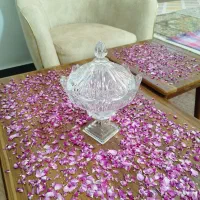 ۶ قلم ظرف سرو و پذیرایی فقط یک و سیصد